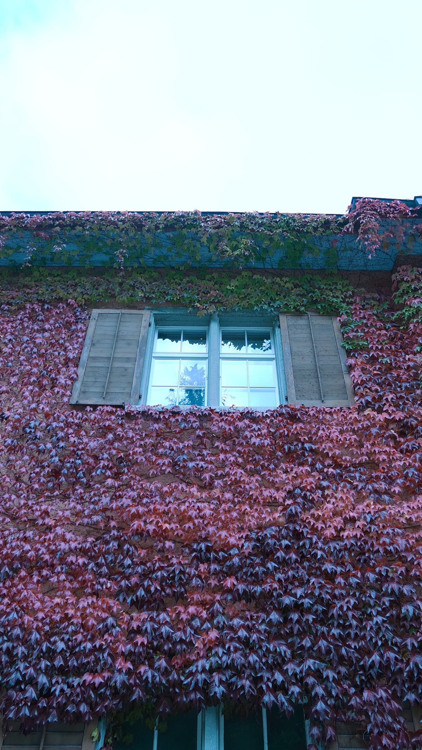 Digital photograph from urban landscapes from cities around the world, shot on a Sigma BF.