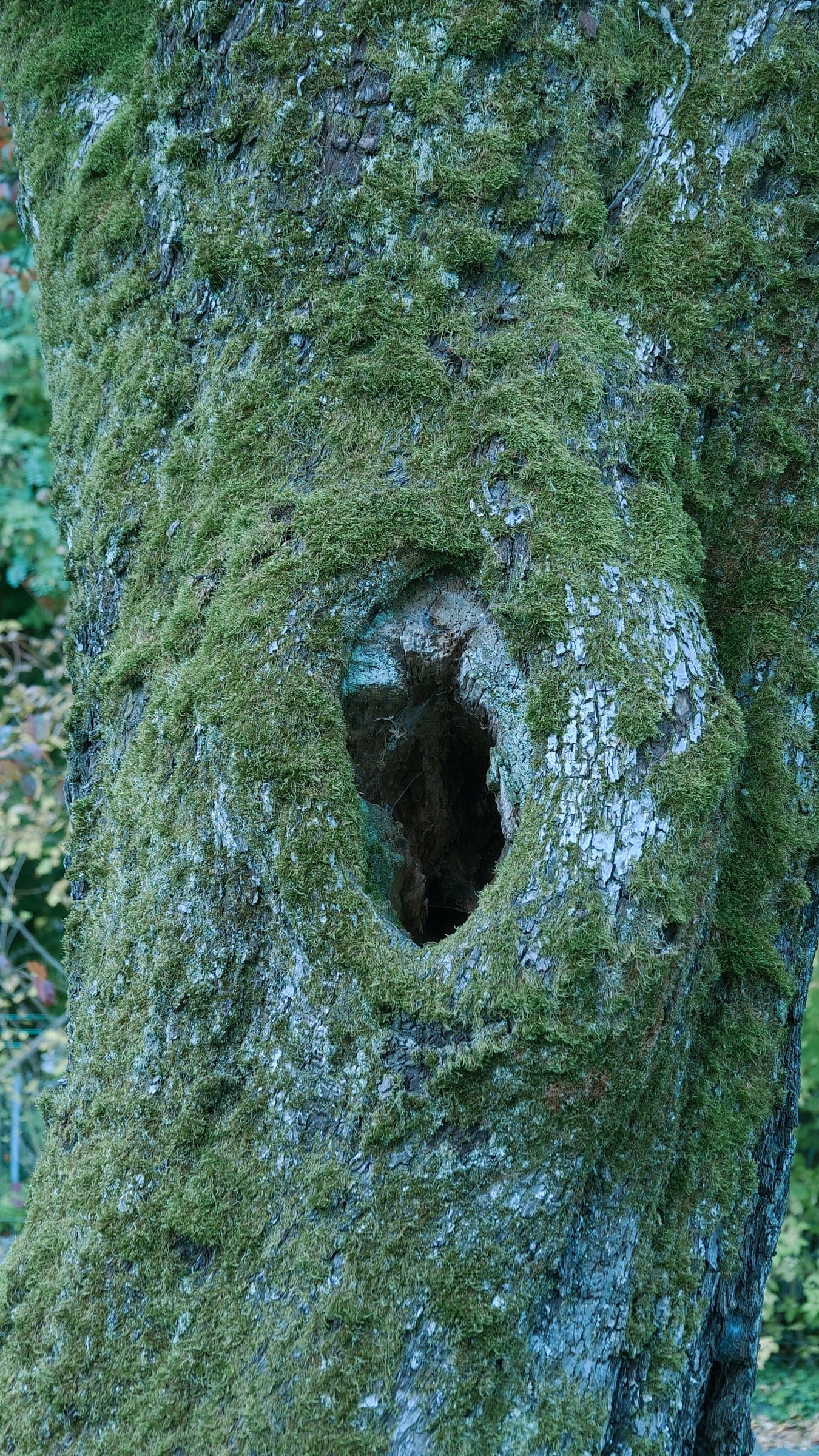 Digital photograph from urban landscapes from cities around the world, shot on a Sigma BF.