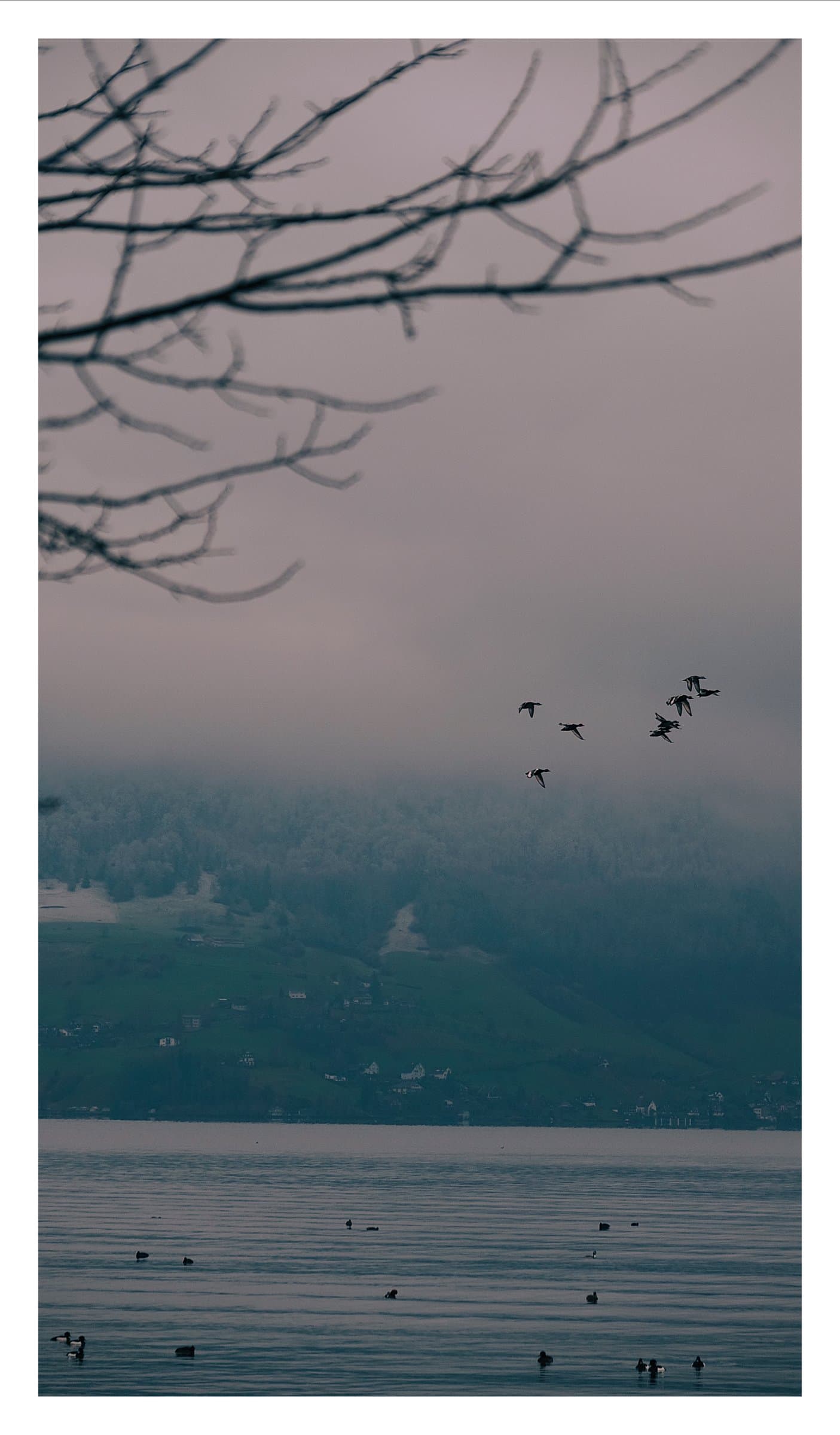 Digital photograph from urban landscapes from cities around the world, shot on a Sigma BF.