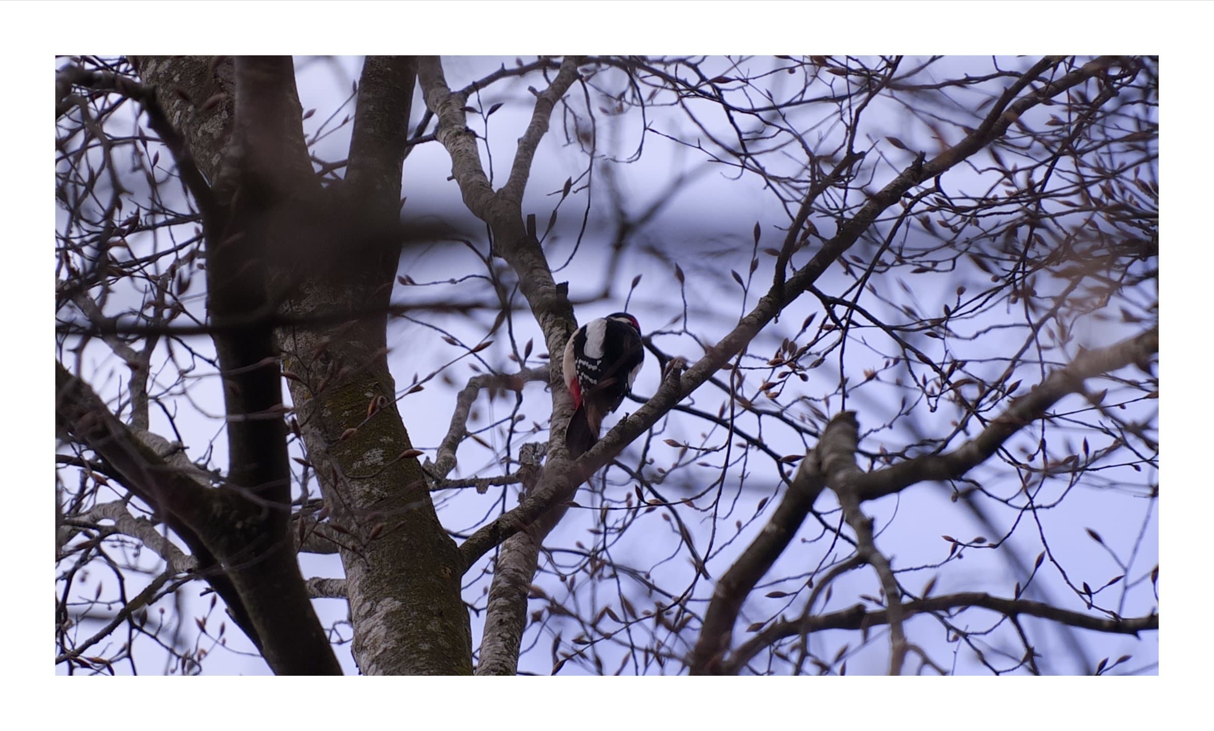 Digital photograph from urban landscapes from cities around the world, shot on a Sigma BF.