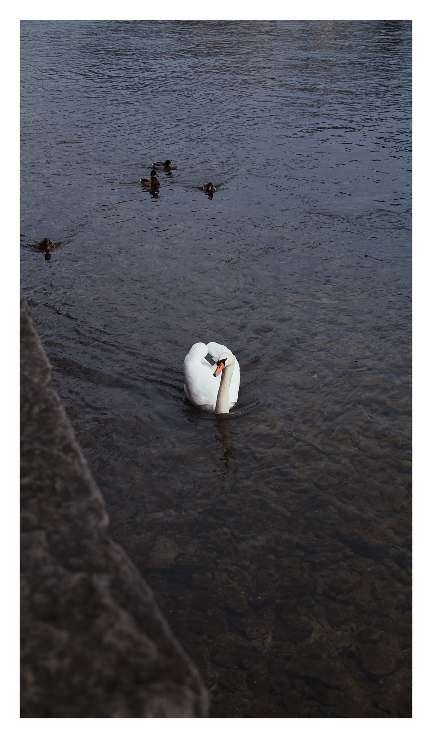 Digital photograph from urban landscapes from cities around the world, shot on a Sigma BF.