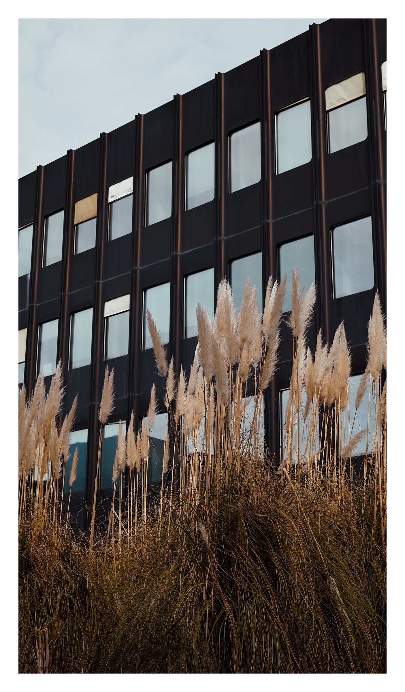 Digital photograph from urban landscapes from cities around the world, shot on a Sigma BF.