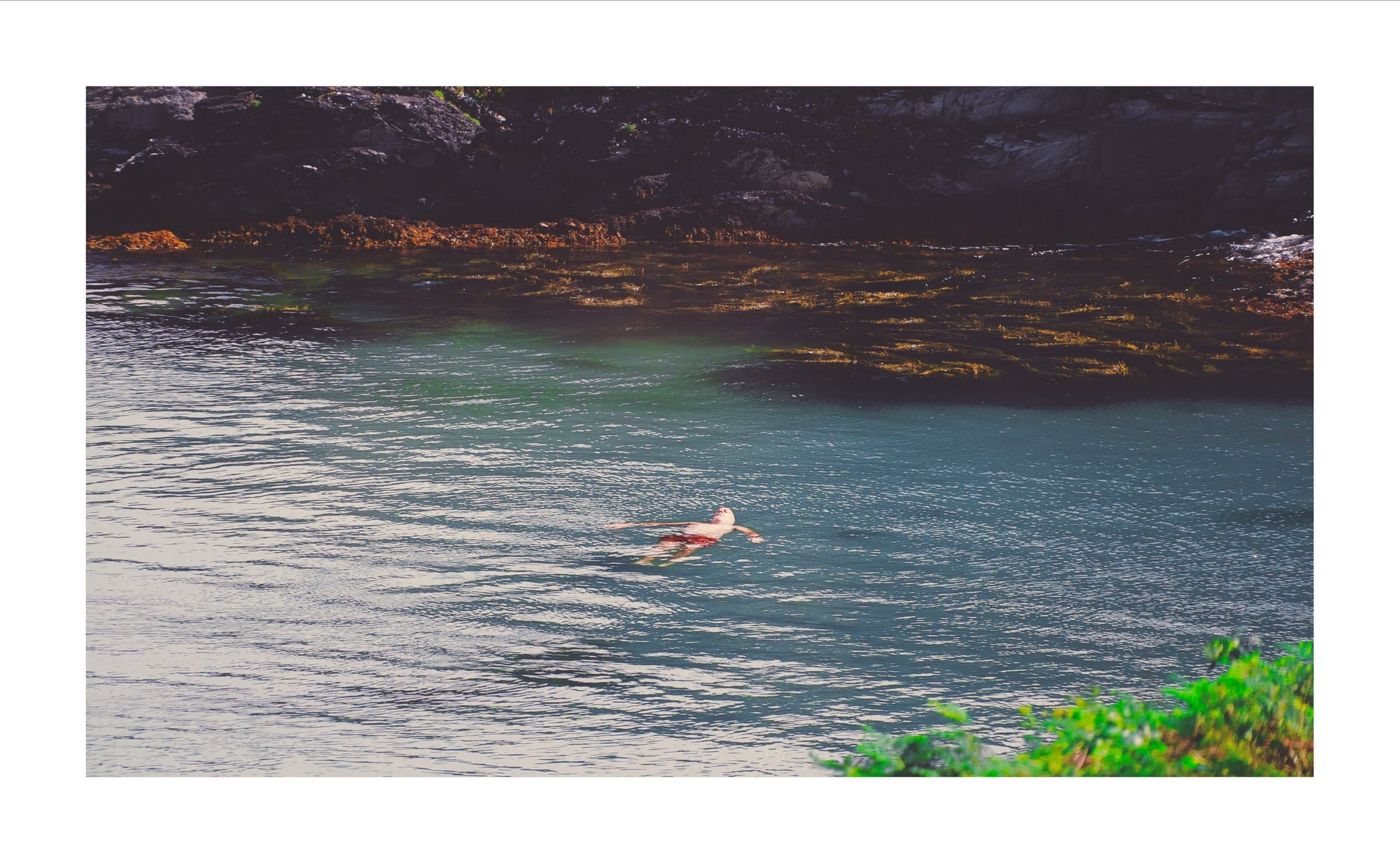 Digital photograph from Ireland's countryside and coast, shot on a Sigma BF.
