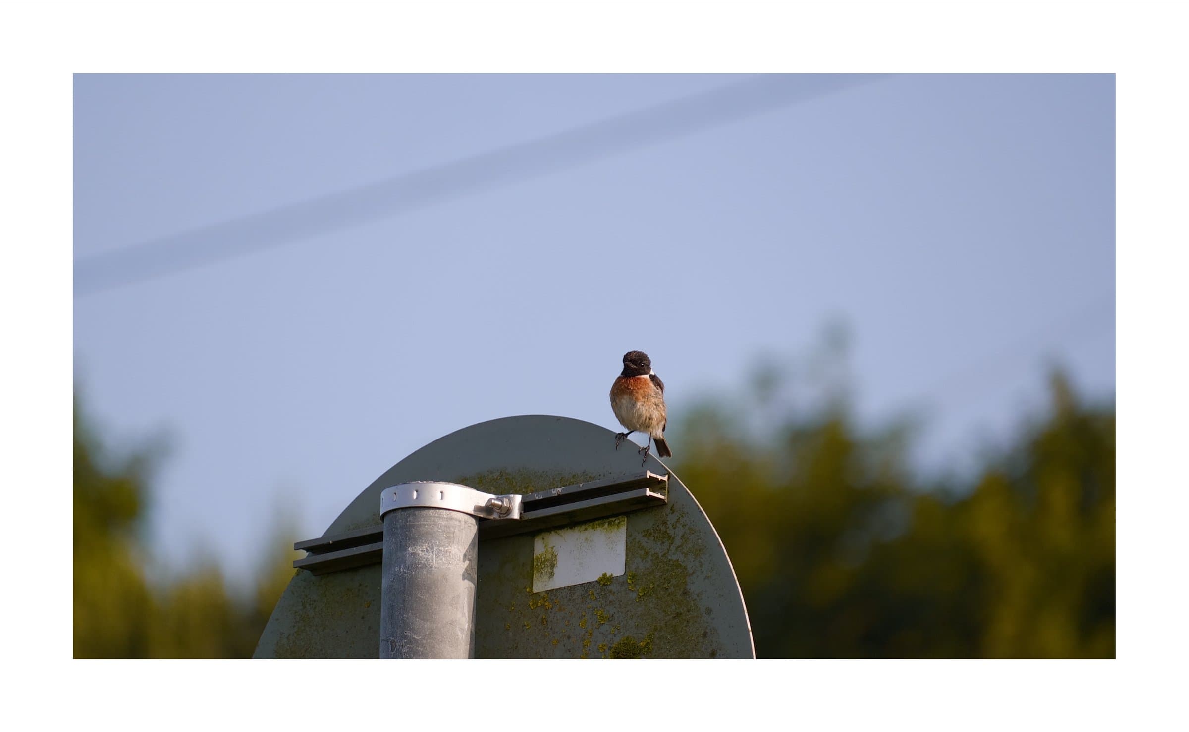 Digital photograph from Ireland's countryside and coast, shot on a Sigma BF.