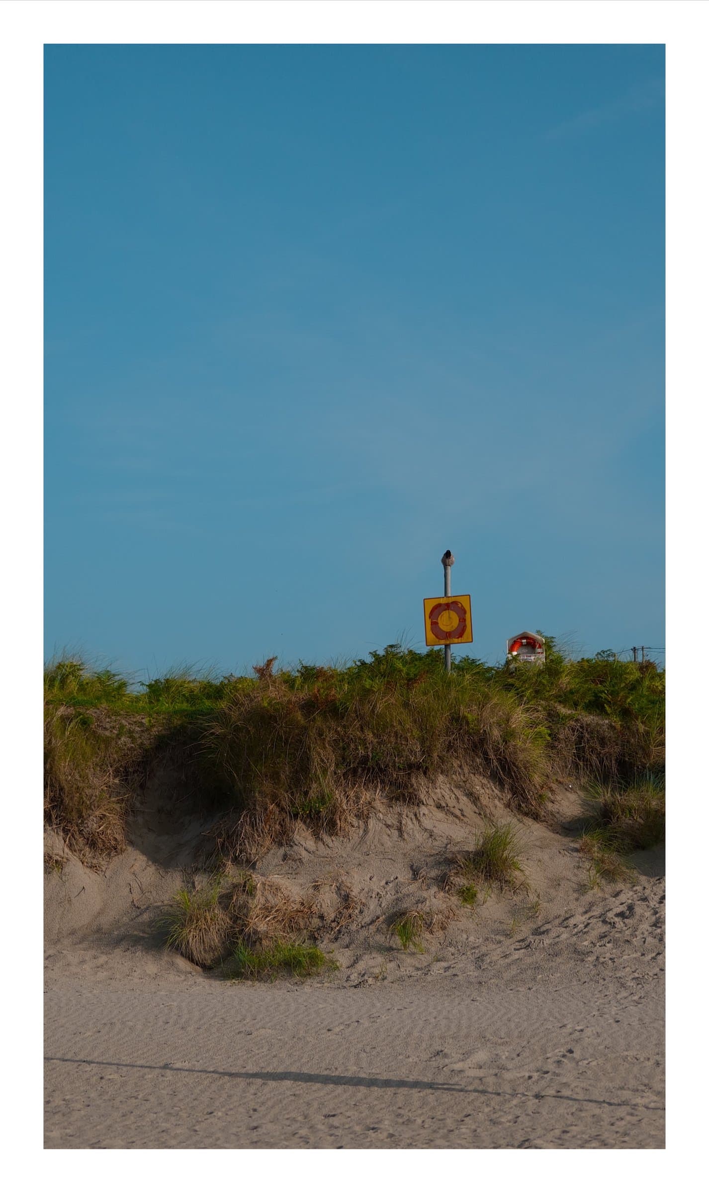 Digital photograph from Ireland's countryside and coast, shot on a Sigma BF.