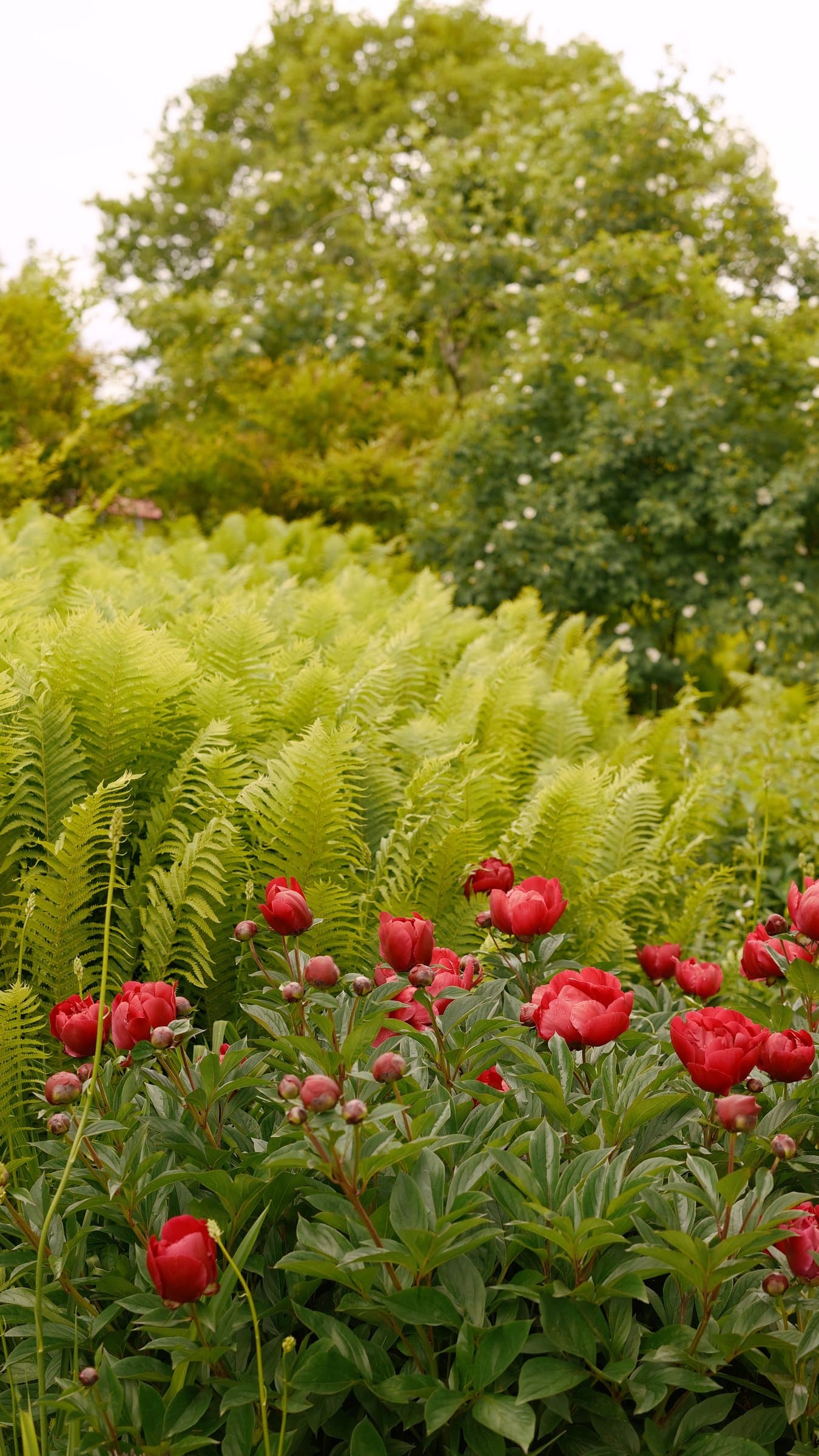 Digital photograph from a mix of moments from travels around the world, shot on a Sigma BF.