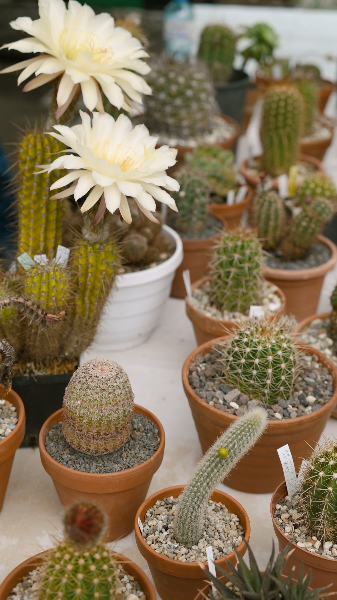 Digital photograph from a mix of moments from travels around the world, shot on a Sigma BF.