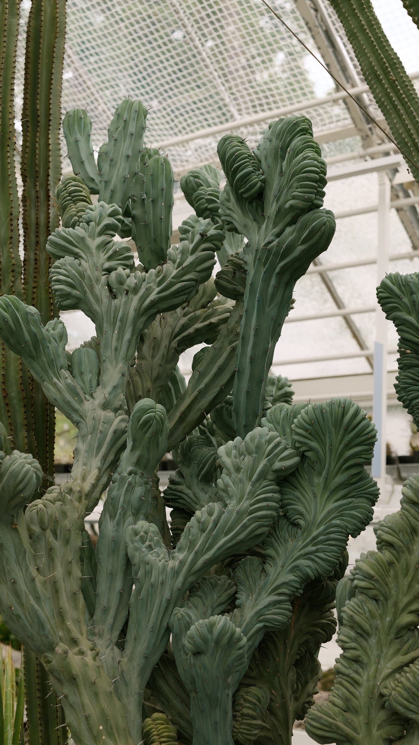 Digital photograph from a mix of moments from travels around the world, shot on a Sigma BF.