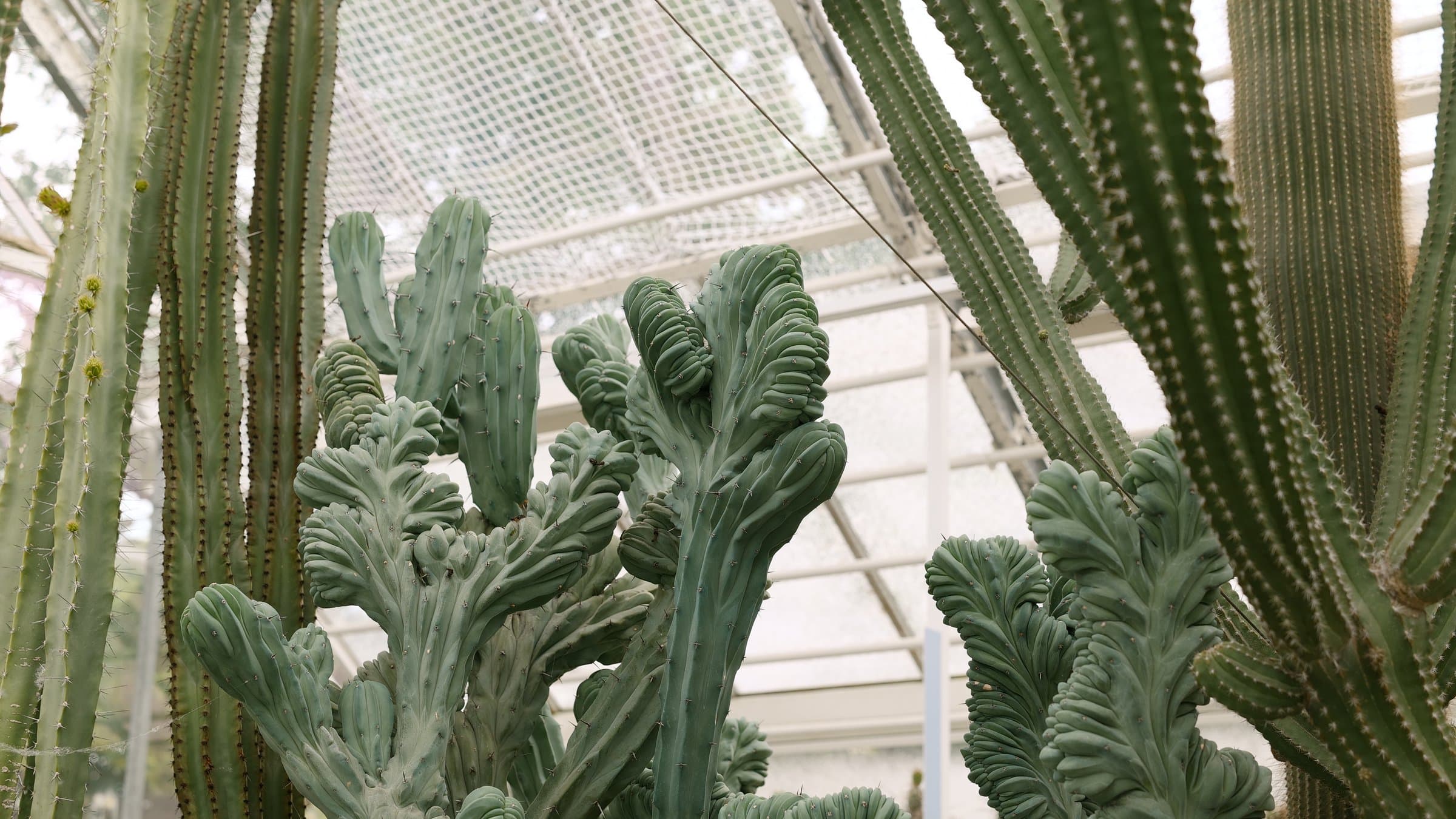 Digital photograph from a mix of moments from travels around the world, shot on a Sigma BF.