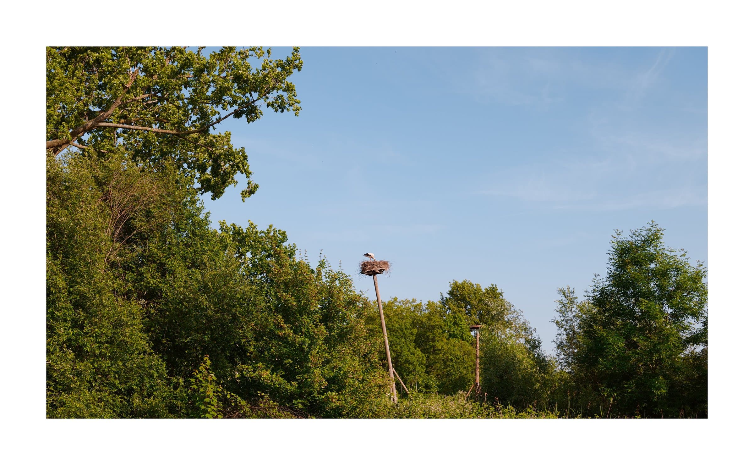 Digital photograph from the streets and architecture of Rotterdam, shot on a Sigma BF.