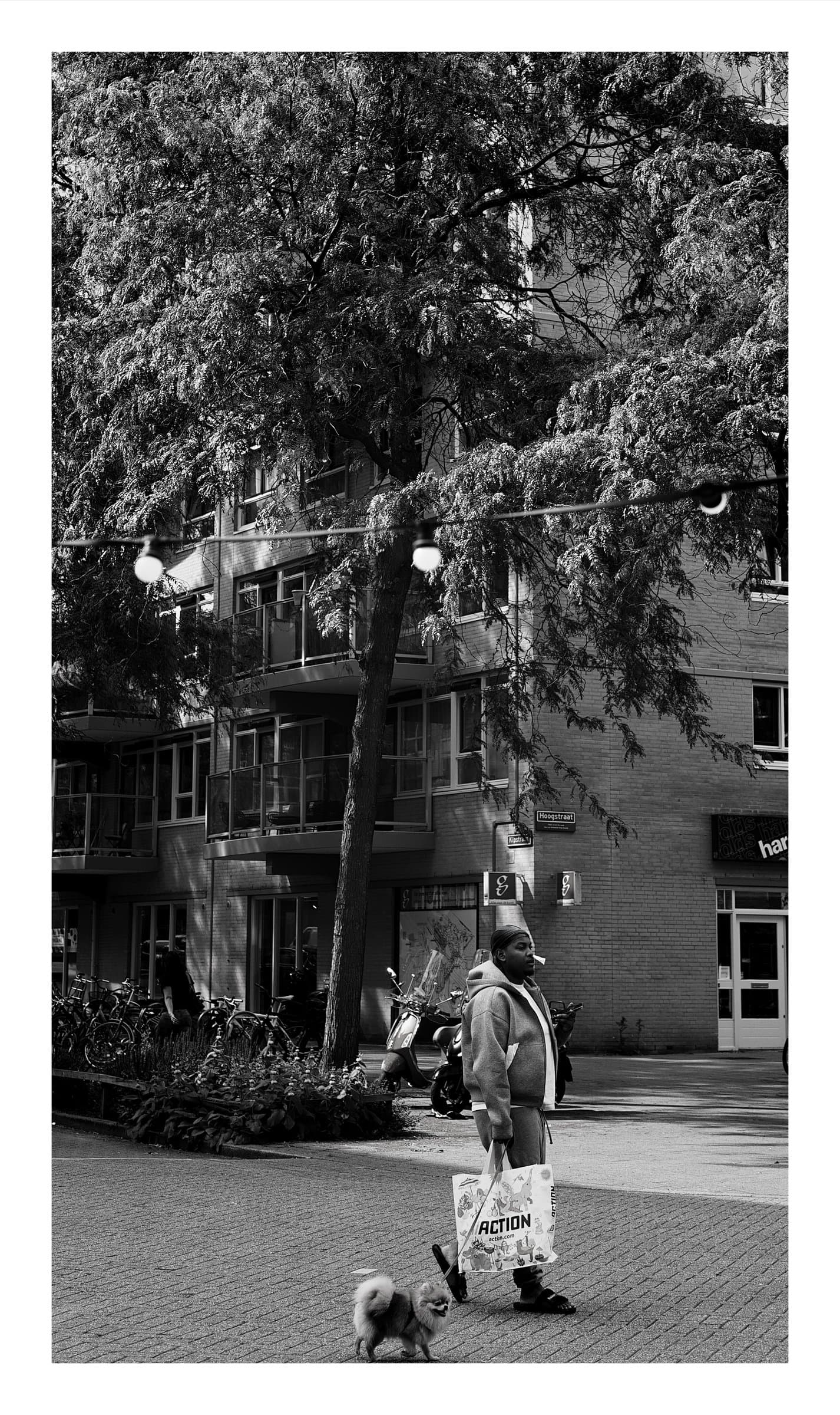 Digital photograph from the streets and architecture of Rotterdam, shot on a Sigma BF.