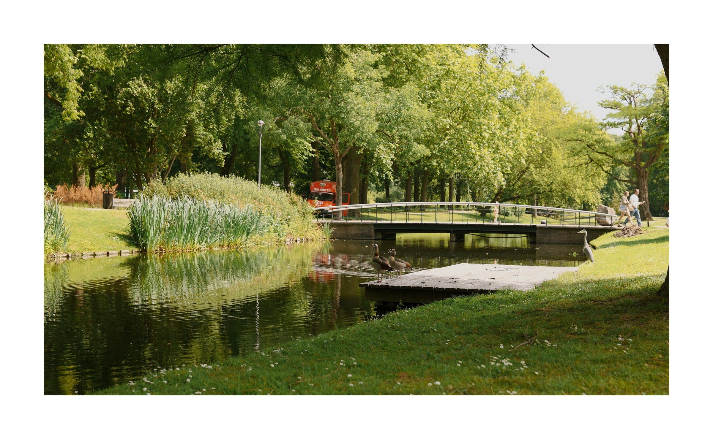 Digital photograph from the streets and architecture of Rotterdam, shot on a Sigma BF.