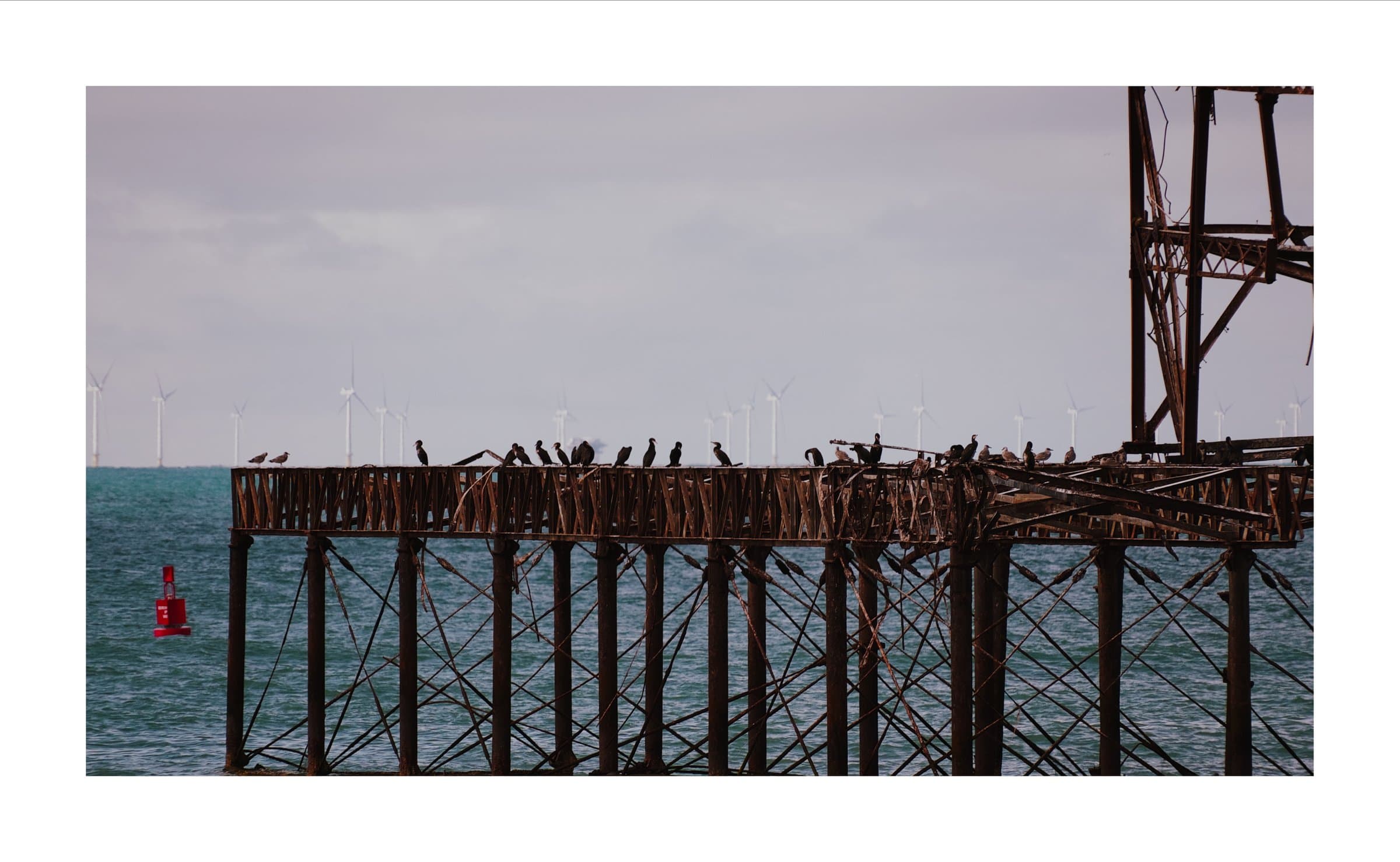 Digital photograph from the seaside town of Brighton in the UK, shot on a Sigma BF.