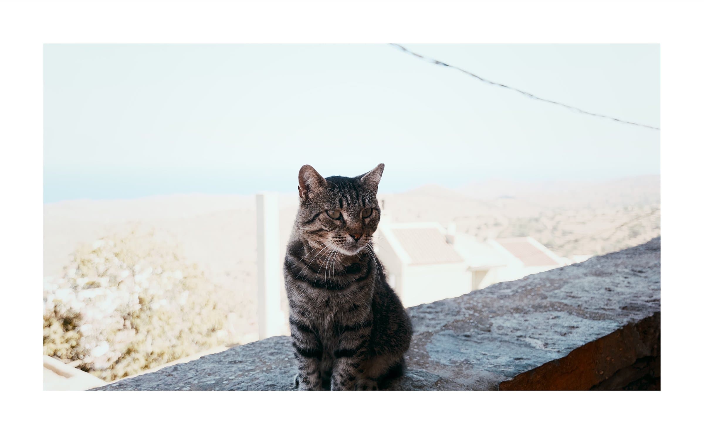 Digital photograph from the Greek island of Kea, shot on a Sigma BF.