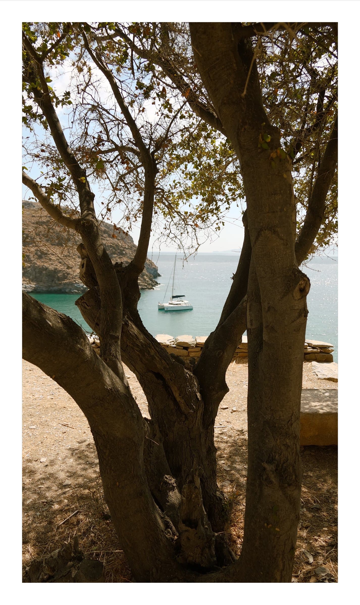 Digital photograph from the Greek island of Kea, shot on a Sigma BF.