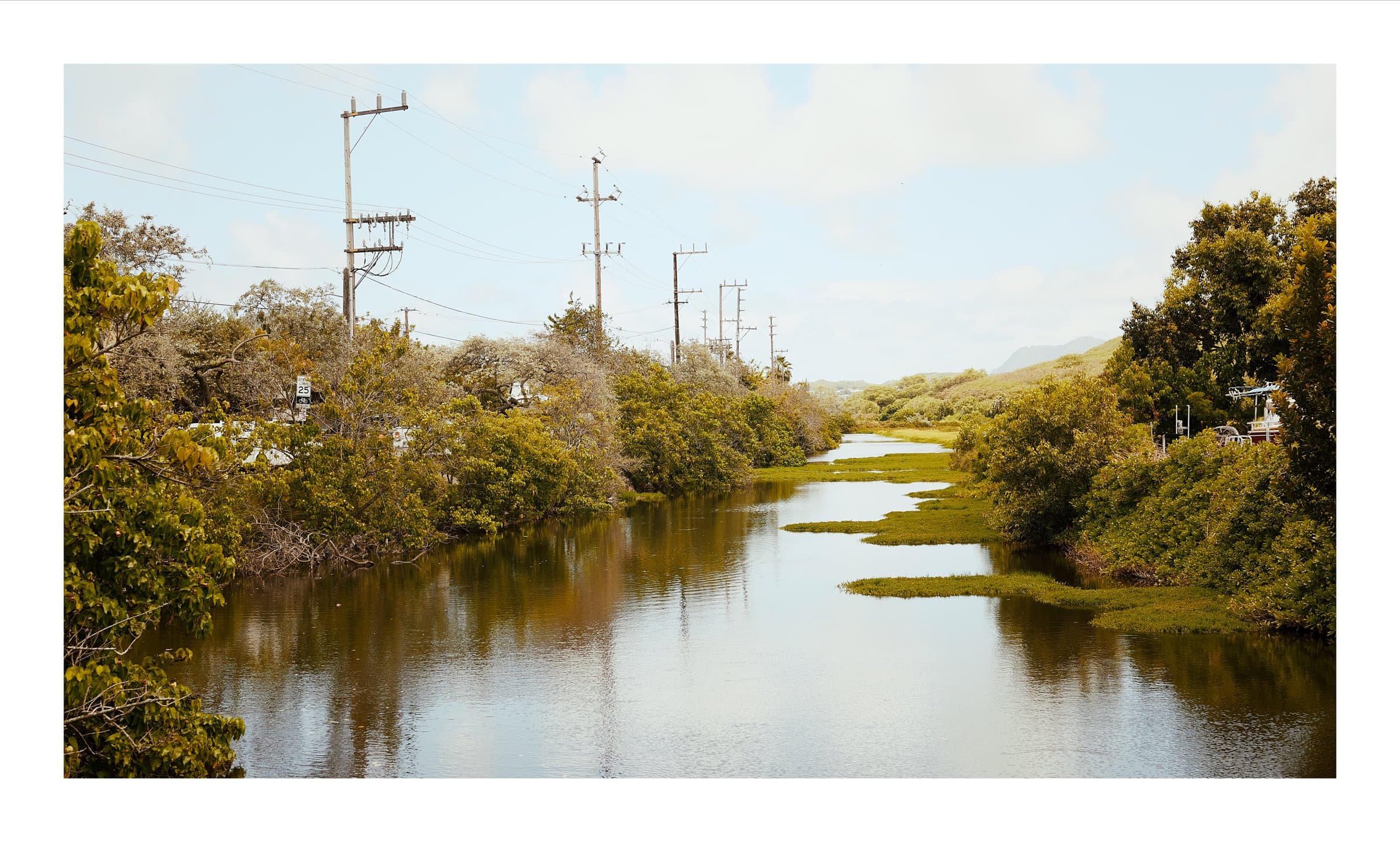 Digital photograph from Oahu in Hawaii, shot on a Sigma BF.