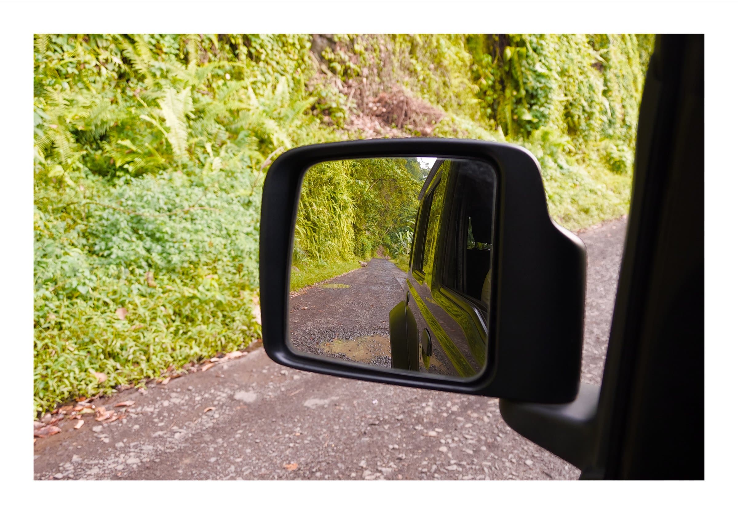 Digital photograph from the volcanic equatorial island of São Tomé, shot on a Sigma BF.