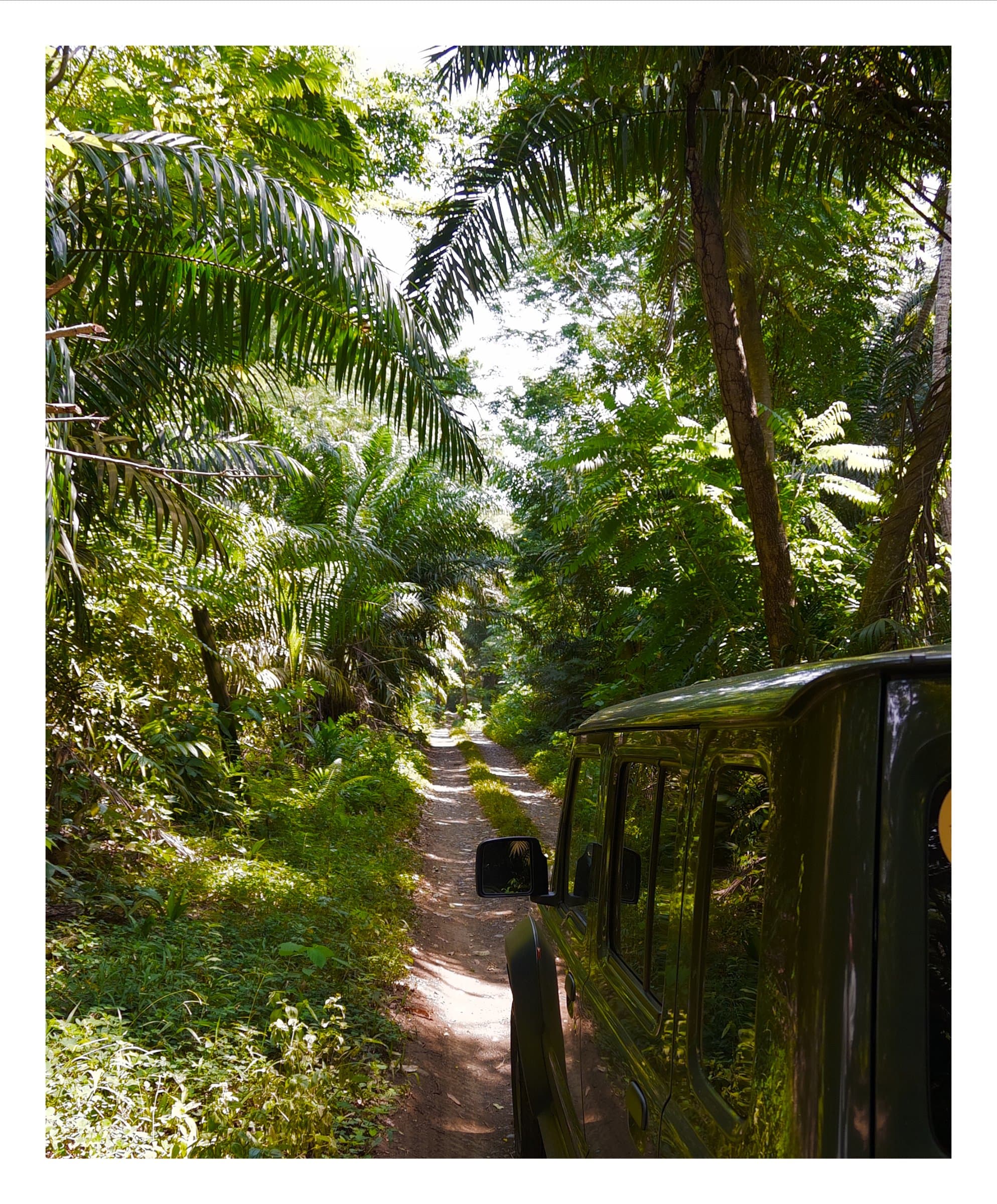 Digital photograph from the volcanic equatorial island of São Tomé, shot on a Sigma BF.