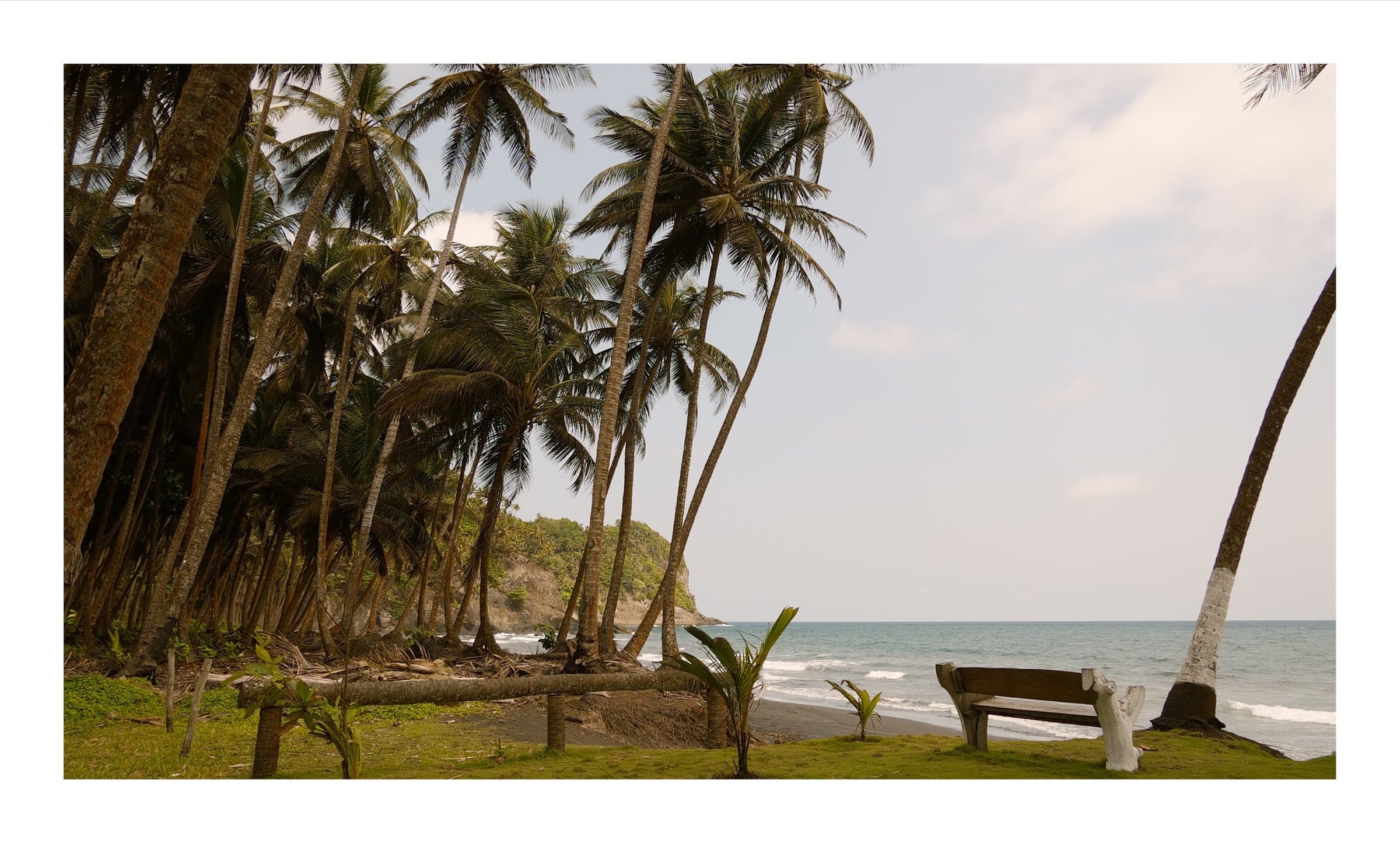 Digital photograph from the volcanic equatorial island of São Tomé, shot on a Sigma BF.