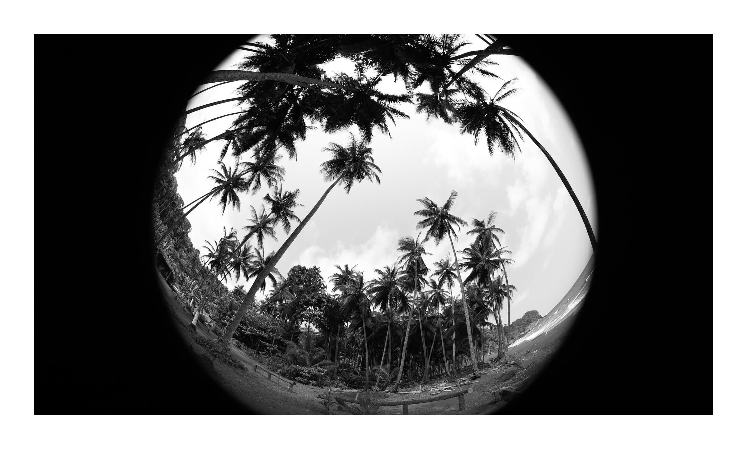 Digital photograph from the volcanic equatorial island of São Tomé, shot on a Sigma BF.