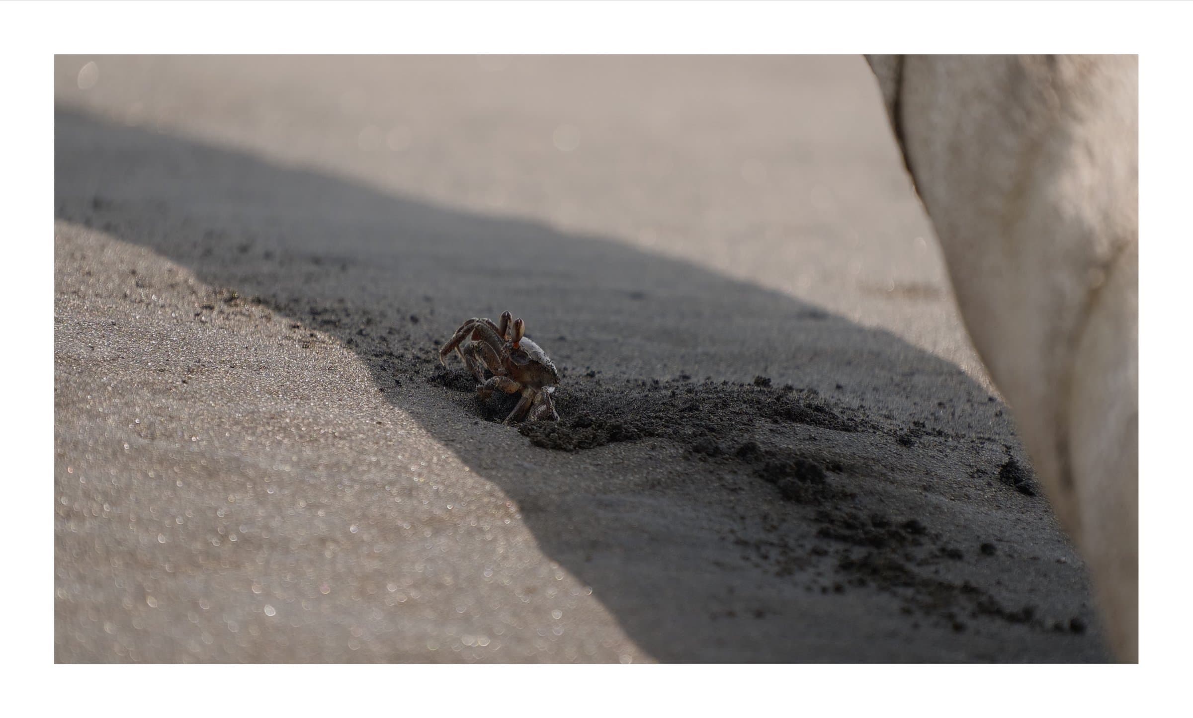 Digital photograph from the volcanic equatorial island of São Tomé, shot on a Sigma BF.