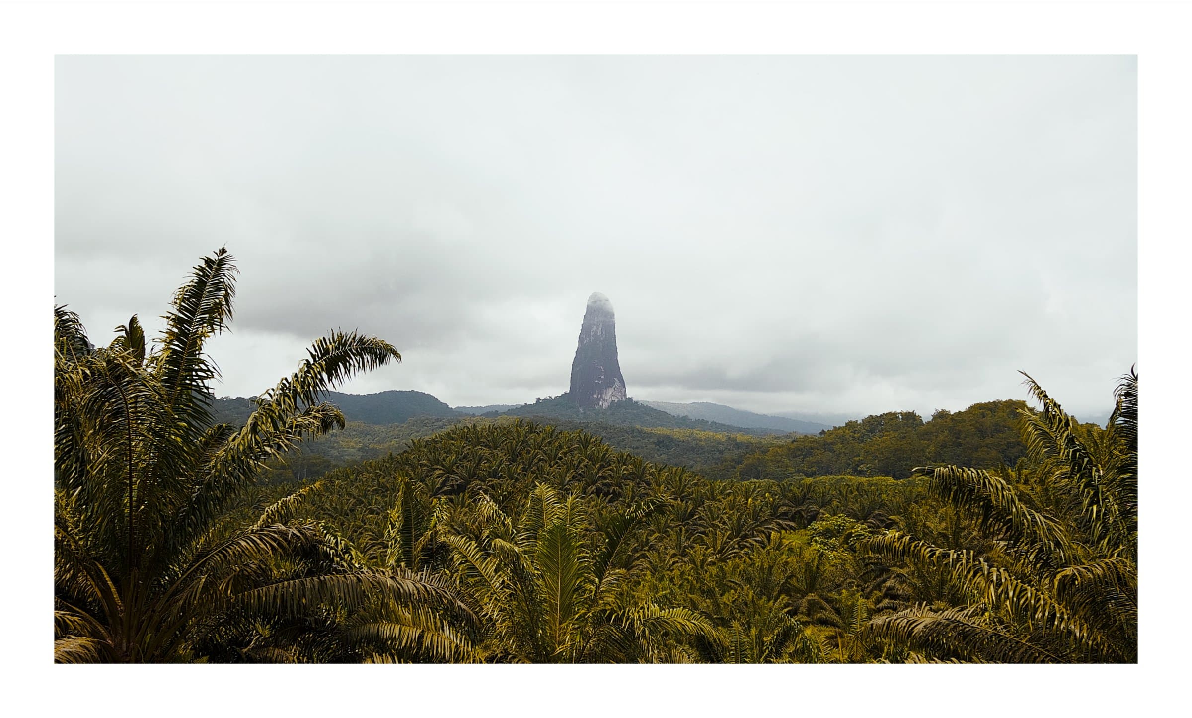 Digital photograph from the volcanic equatorial island of São Tomé, shot on a Sigma BF.