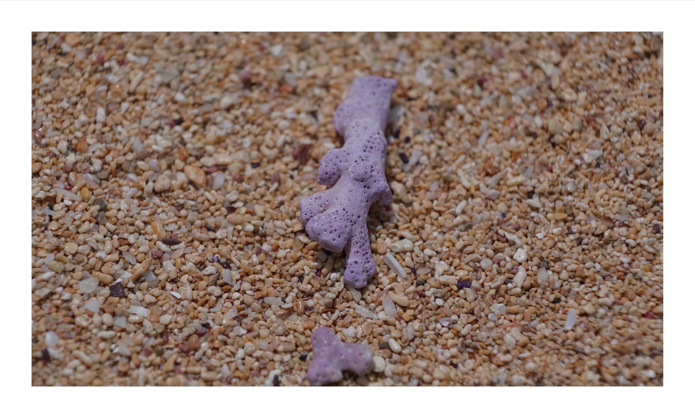 Digital photograph from the volcanic equatorial island of São Tomé, shot on a Sigma BF.