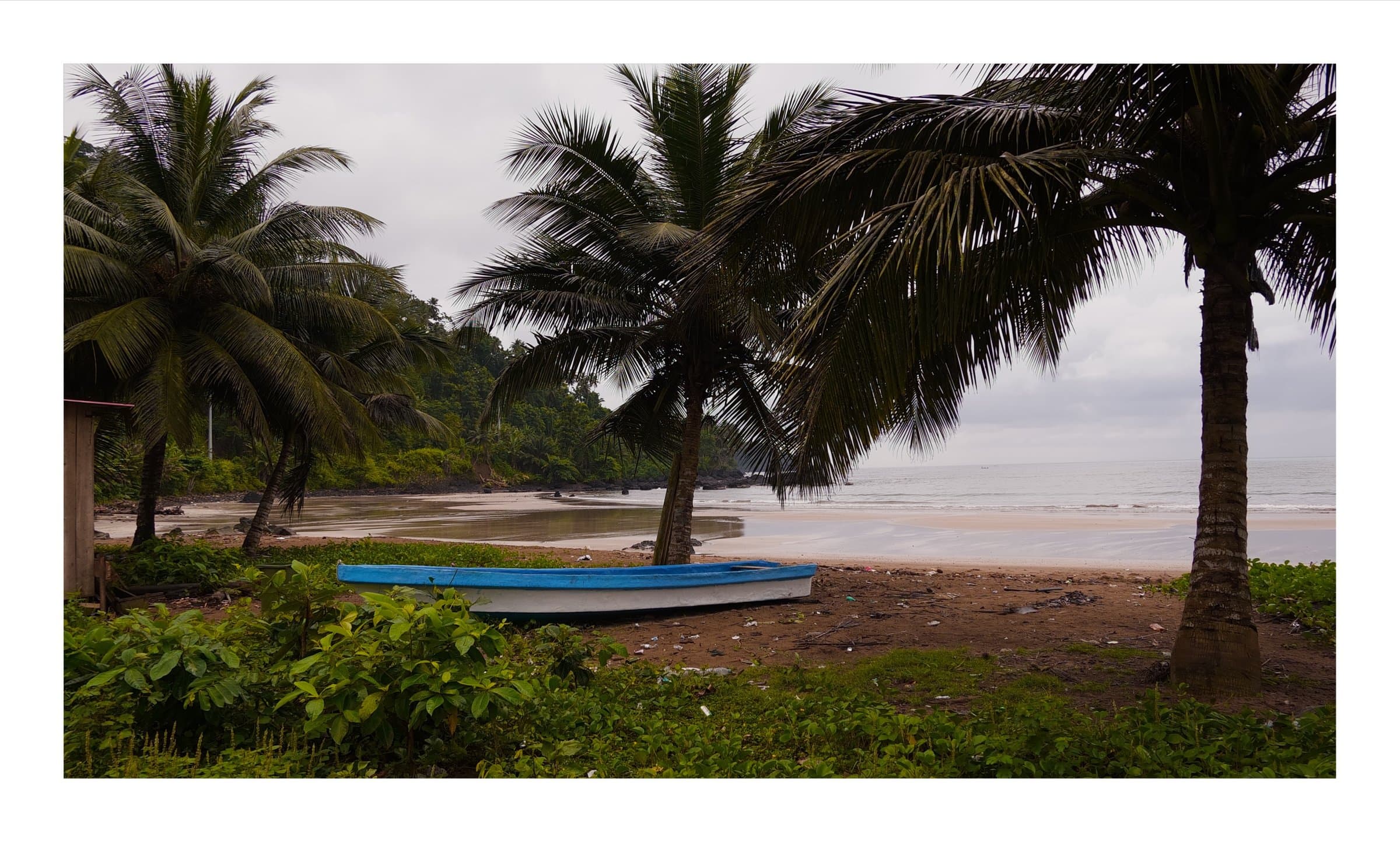 Digital photograph from the volcanic equatorial island of São Tomé, shot on a Sigma BF.