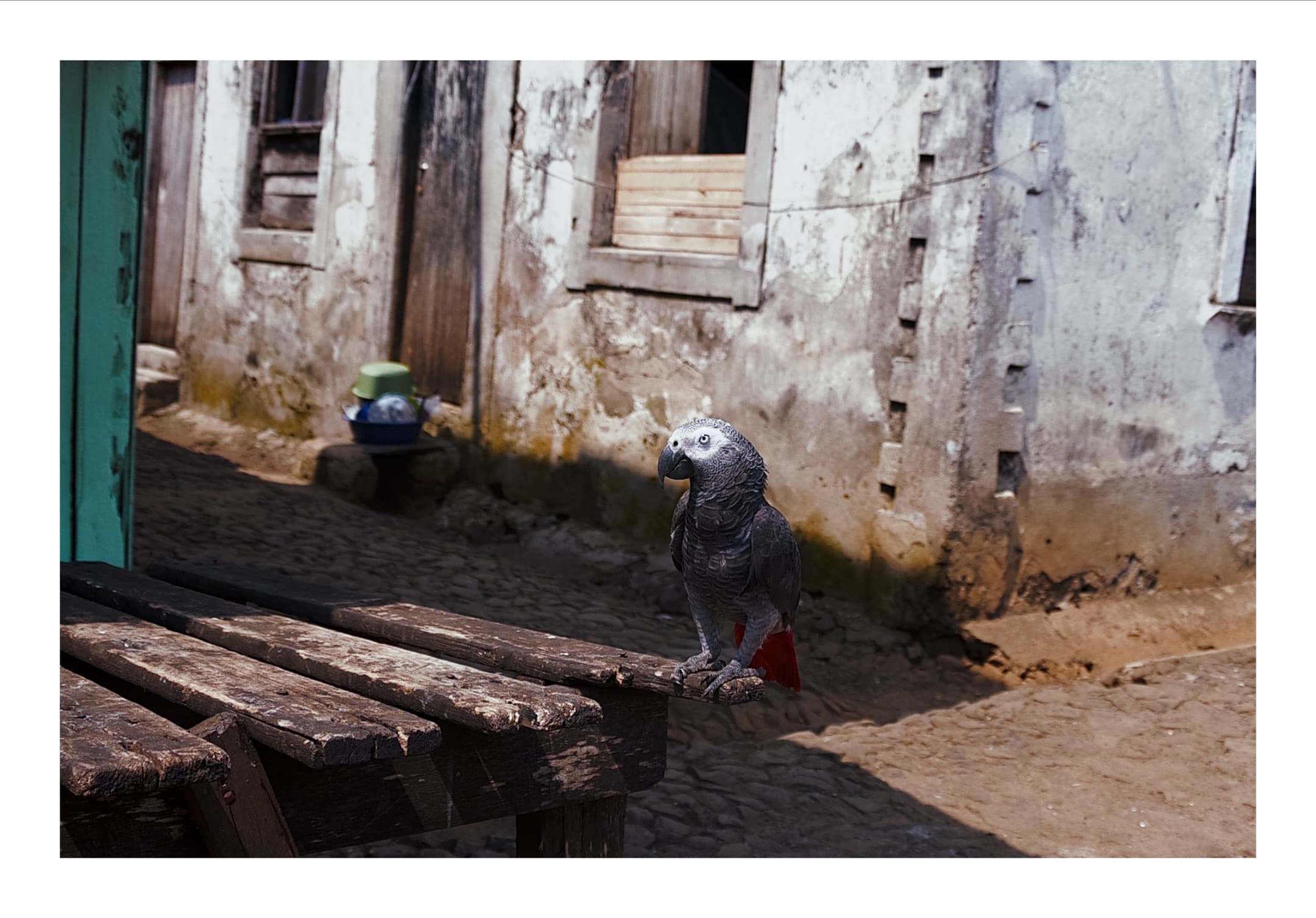 Digital photograph from the volcanic equatorial island of São Tomé, shot on a Sigma BF.