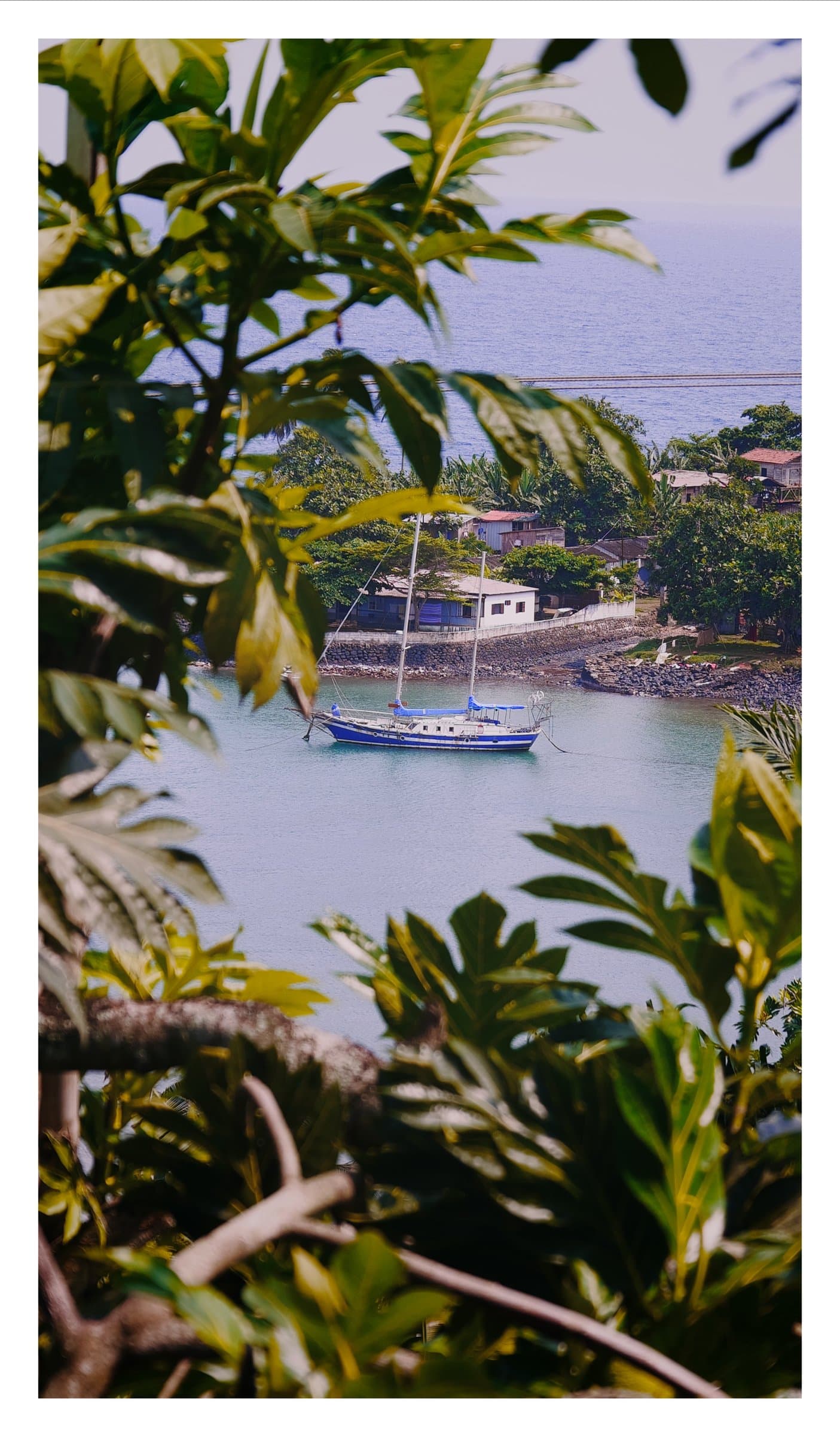 Digital photograph from the volcanic equatorial island of São Tomé, shot on a Sigma BF.