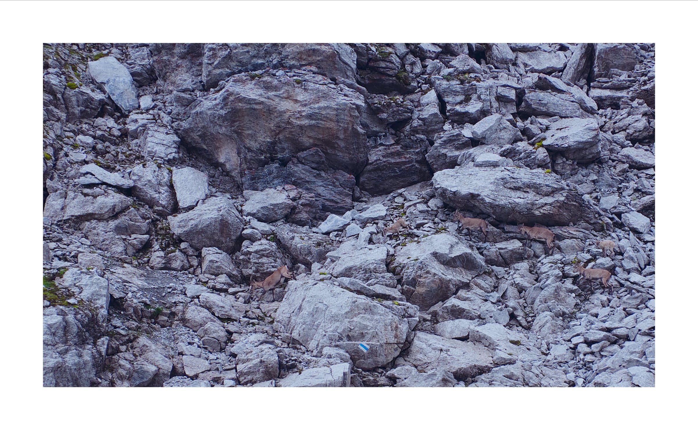 Digital photograph from the Swiss Alps, shot on a Sigma BF.
