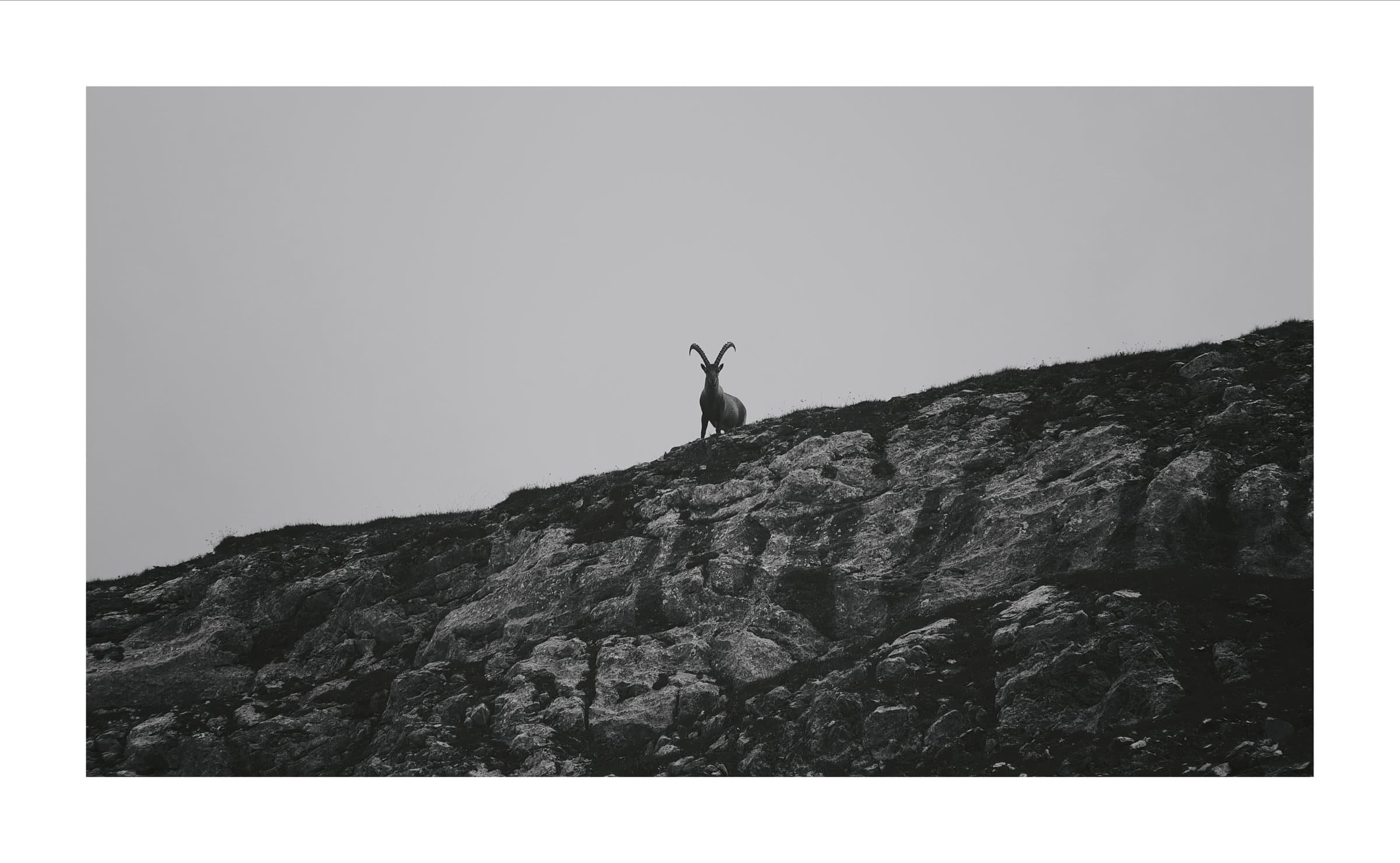 Digital photograph from the Swiss Alps, shot on a Sigma BF.