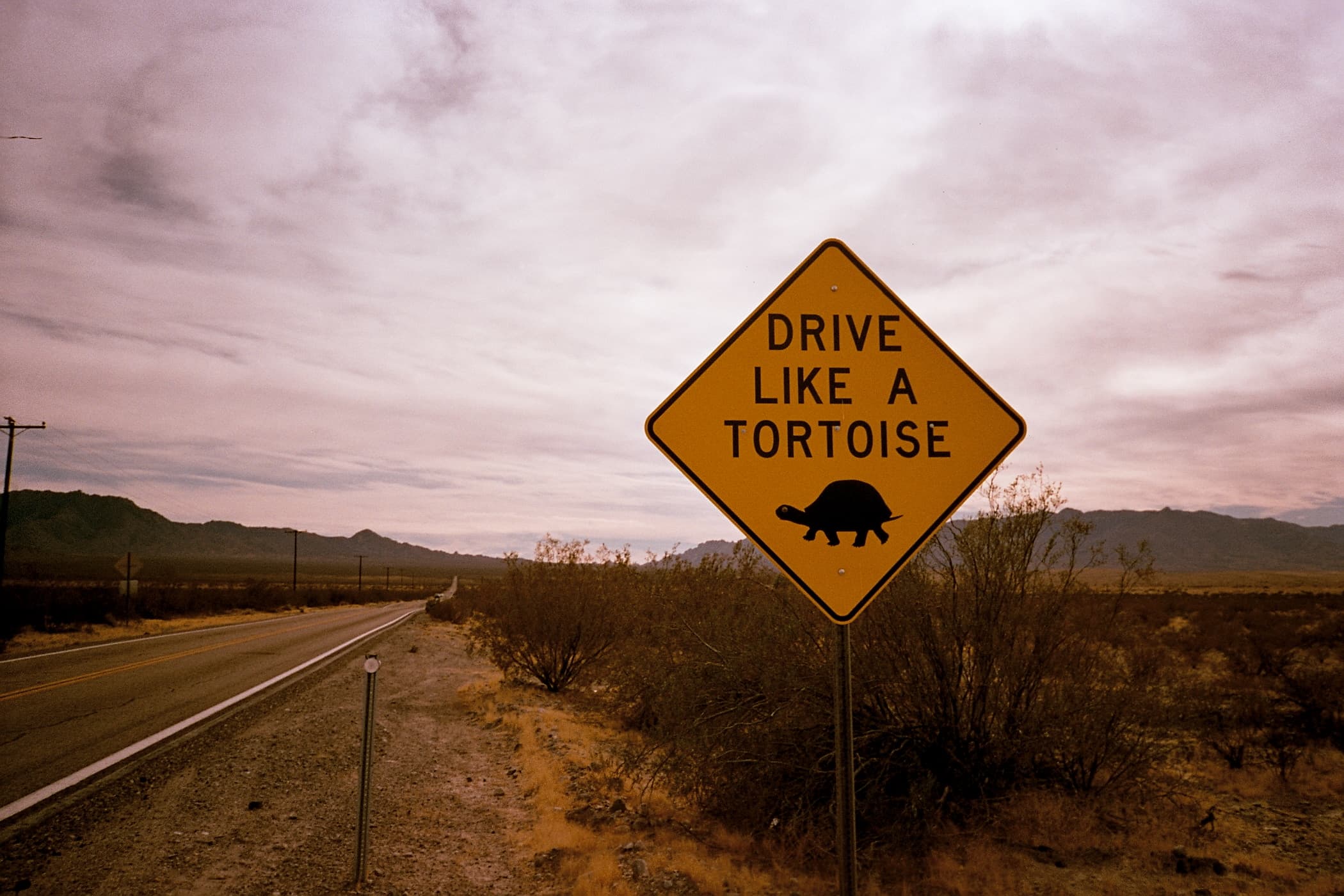 ‘Drive like a tortoise’ road sign, United States