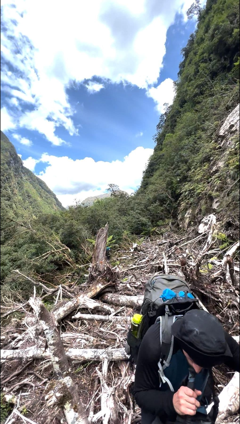 A lot treefall on the way to Kintail Hut