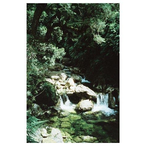 Olympus Mju ii + Cinestill 400d