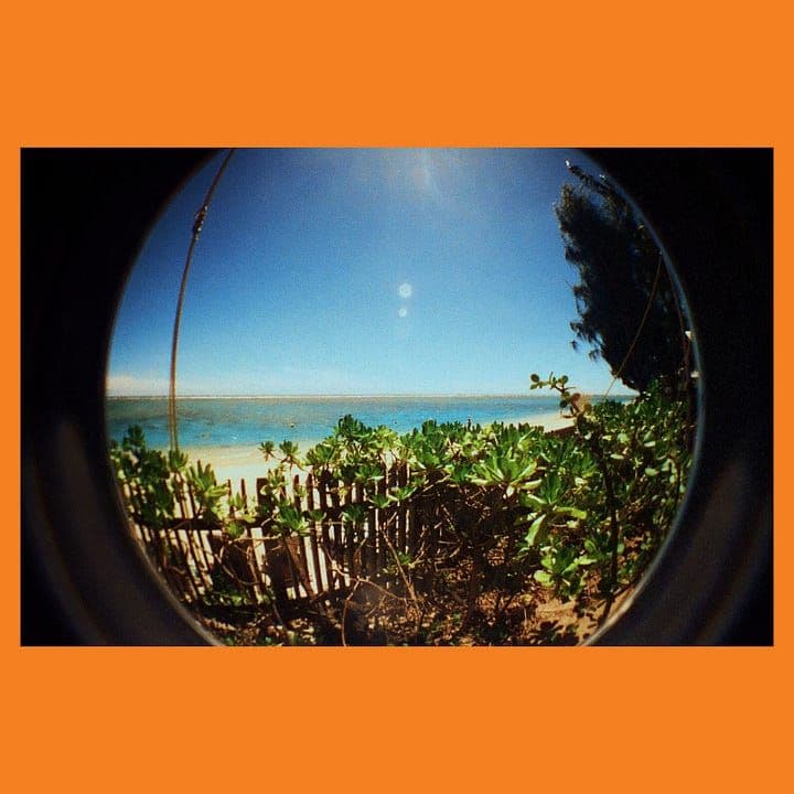 Lomography fisheye 2 + Cinestill 400d