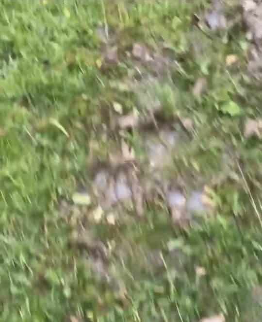 Muddy — the final strech