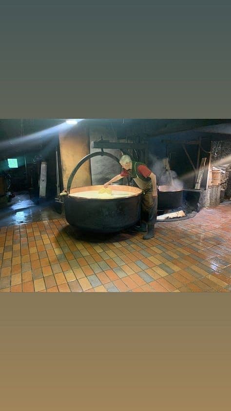 Spent the night on a Farm. Fresh cheese, and fresh cream for the morning coffee.