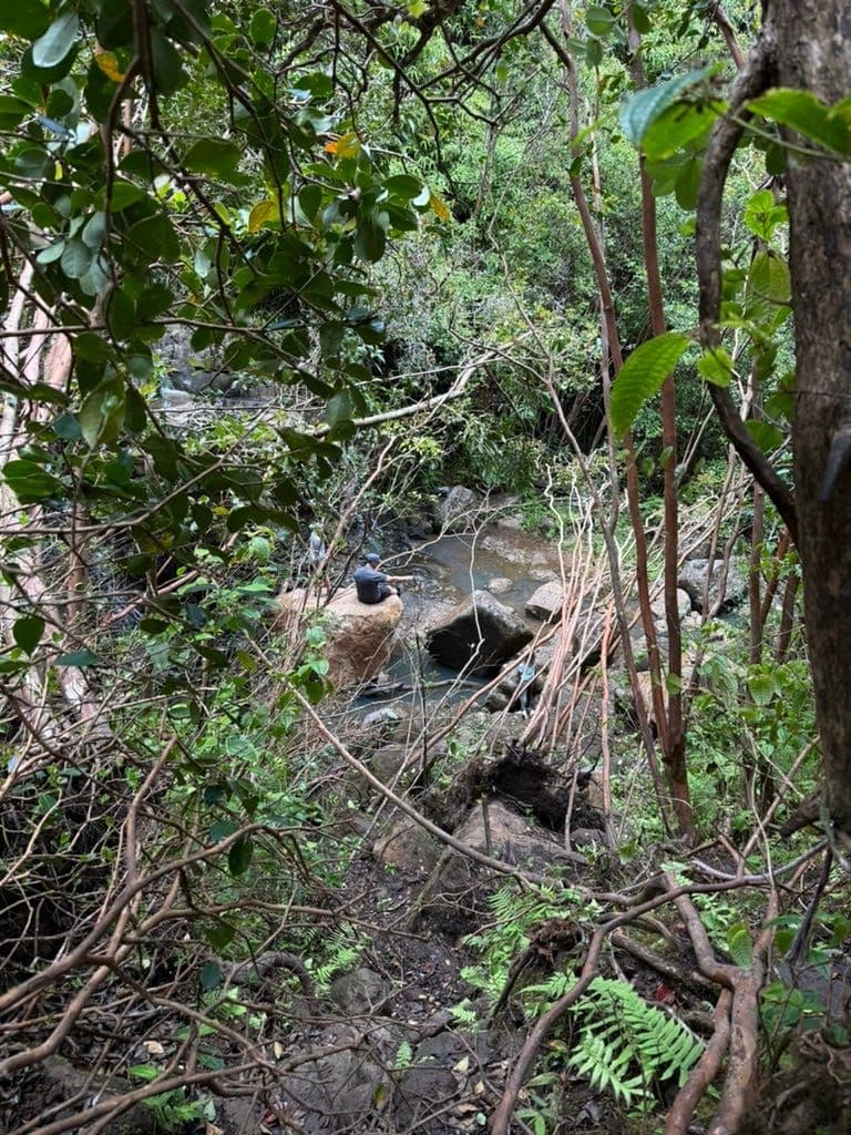 Laie Falls trail. Some section required using a rope. Bring good hiking shoes ( always)