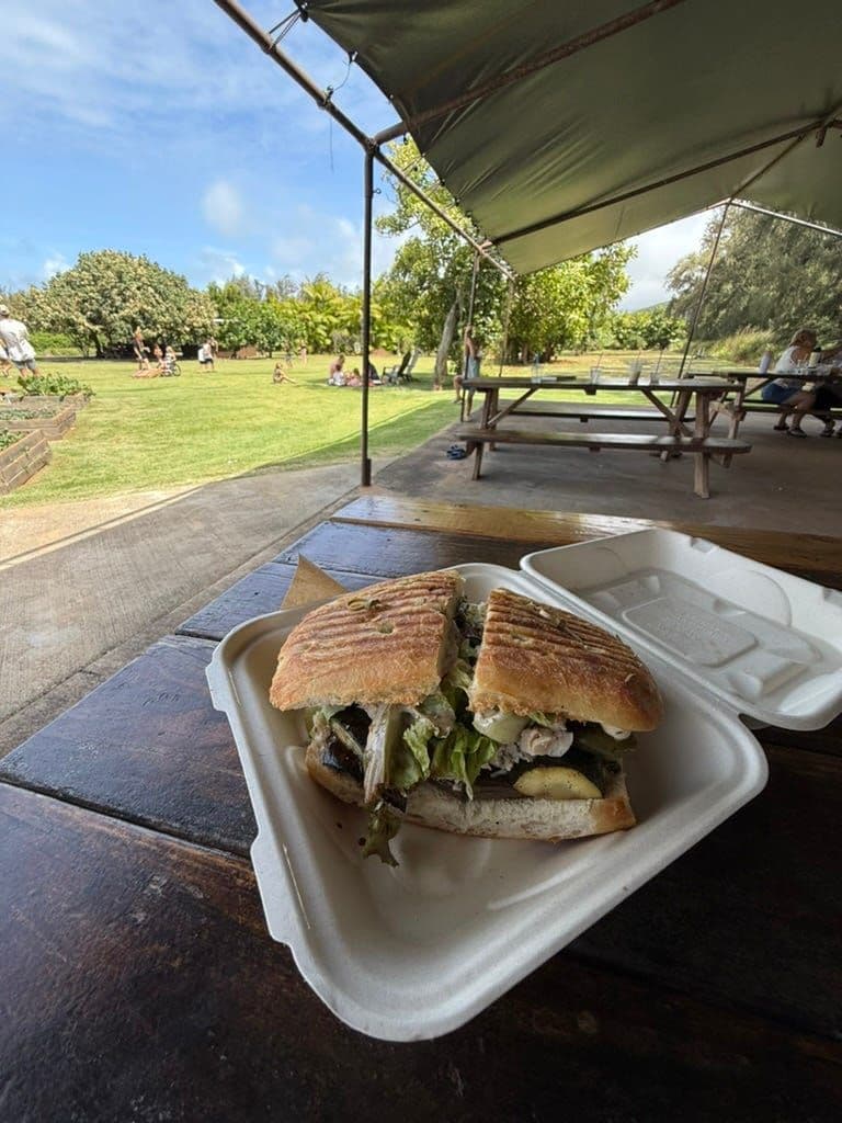 The Drive along the north east cost and an epic sandwich Kahuku Farms