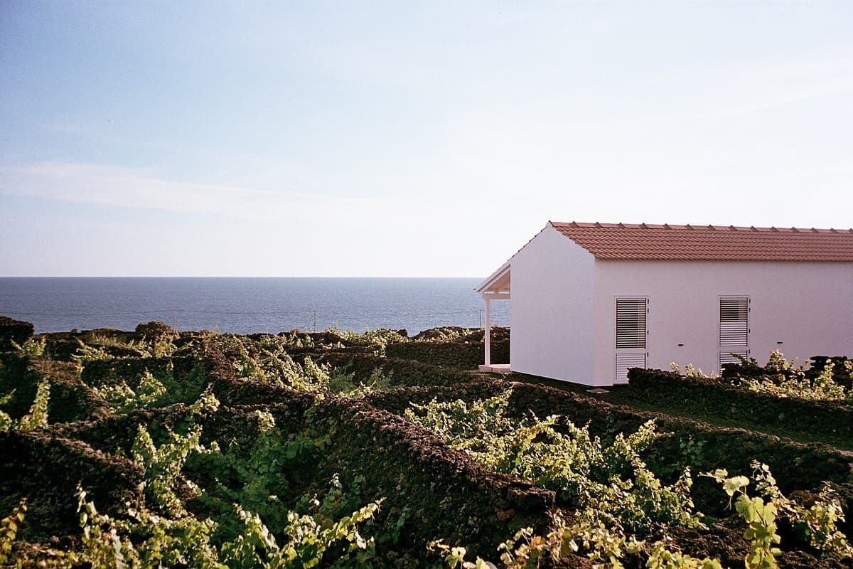 Flying in, we go early look at Pico… | Insula Vinus Apartments was our home base for the week on Pico.