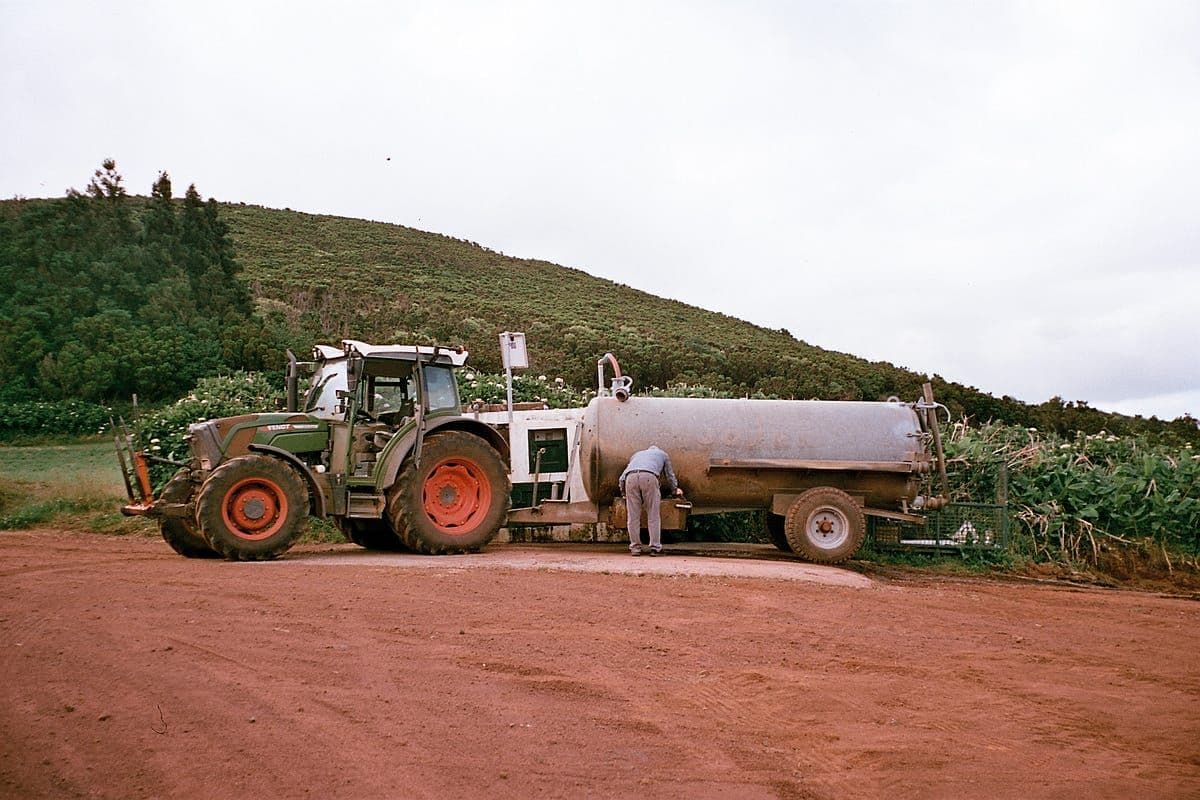 Some photos taken on a Big mini Konica