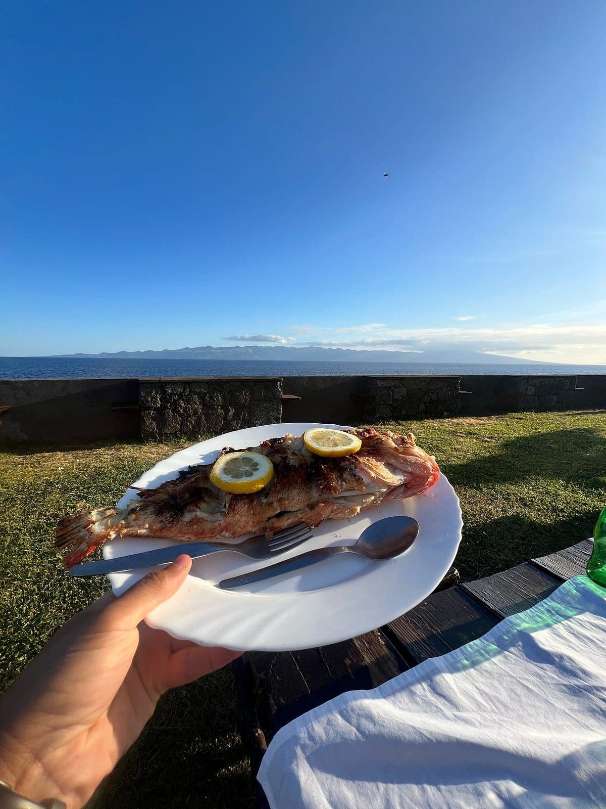 Football and good fish… with pico in the background