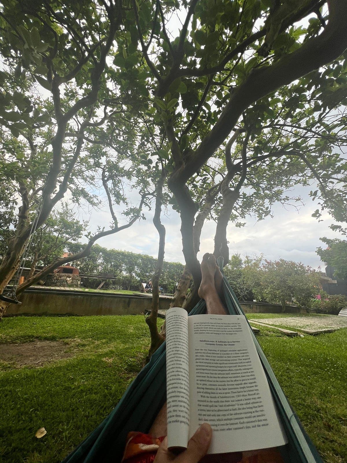 Room with a view of the Garden at Out of The Blue