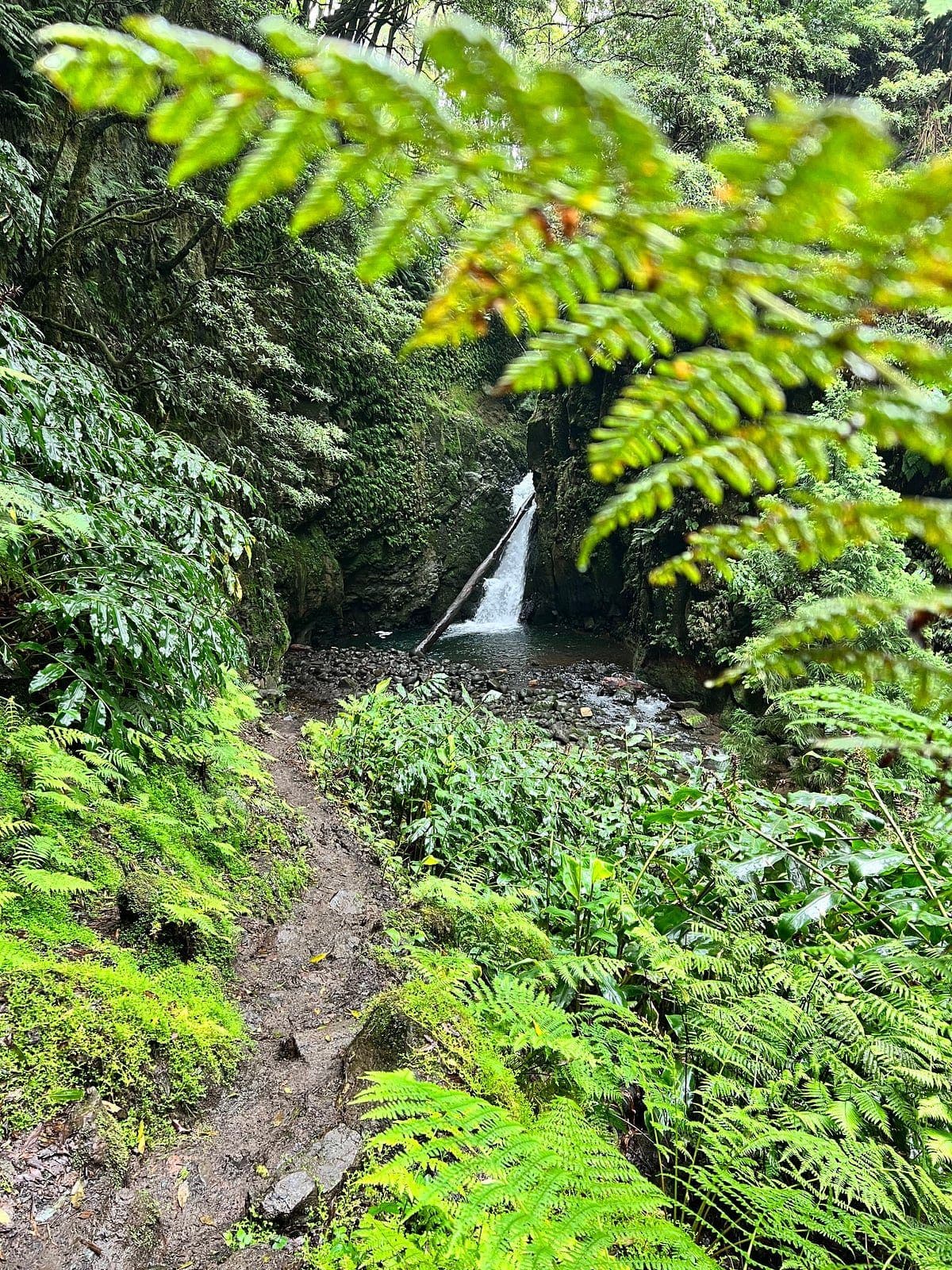 Peaceful hike, can be slippery at times so if you have a hiking stick, bring it.